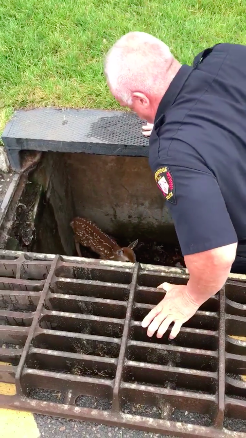 圖片來源：Woodbridge Police Department