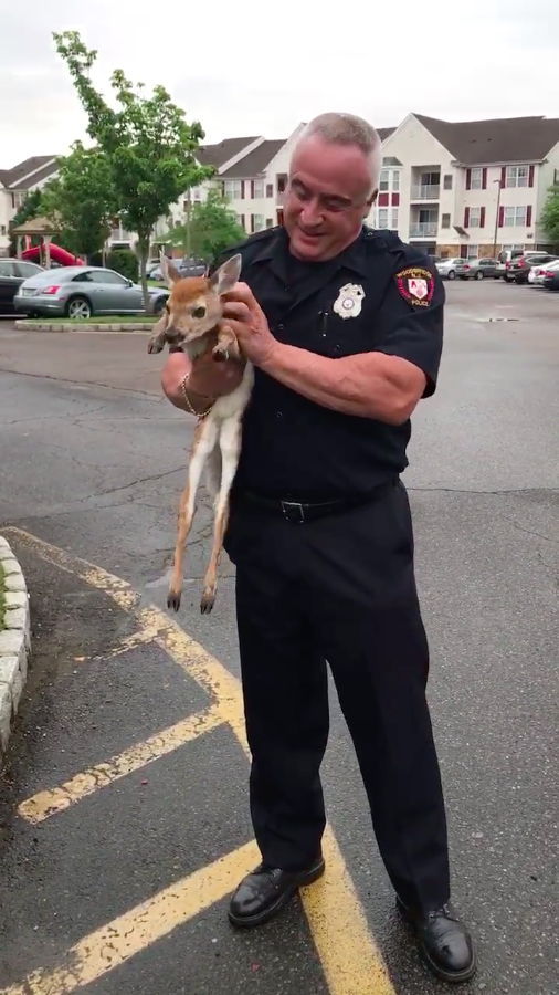 圖片來源：Woodbridge Police Department