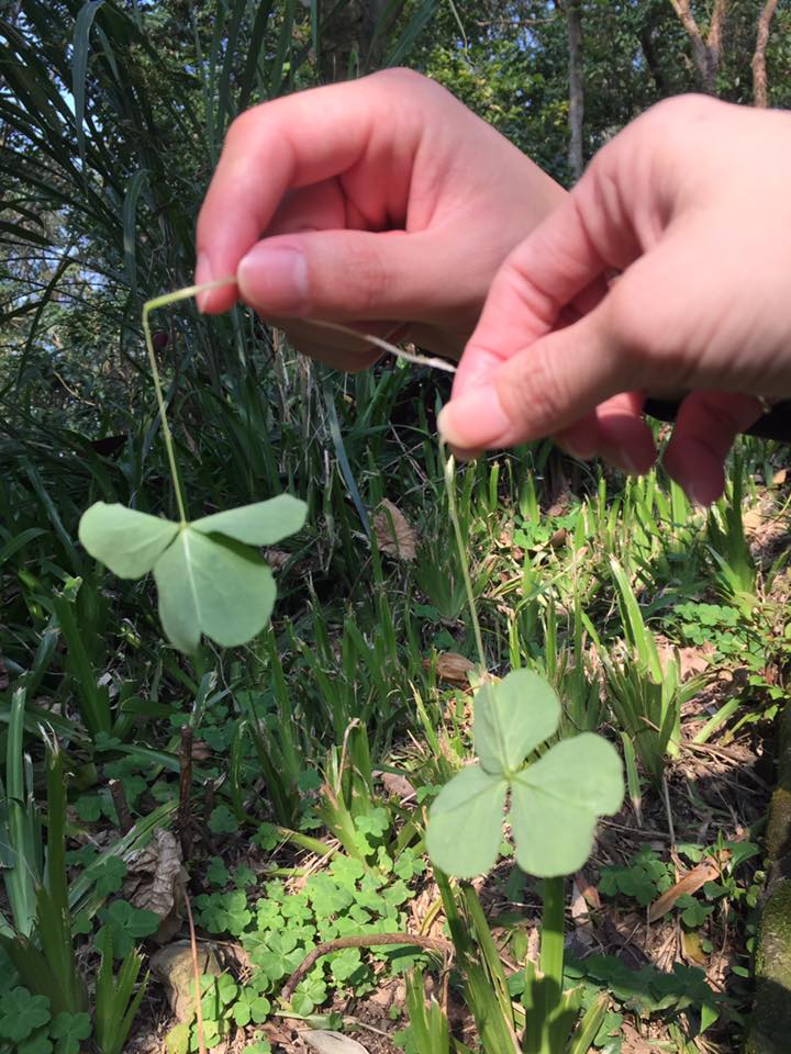 圖片來源:爆廢公社