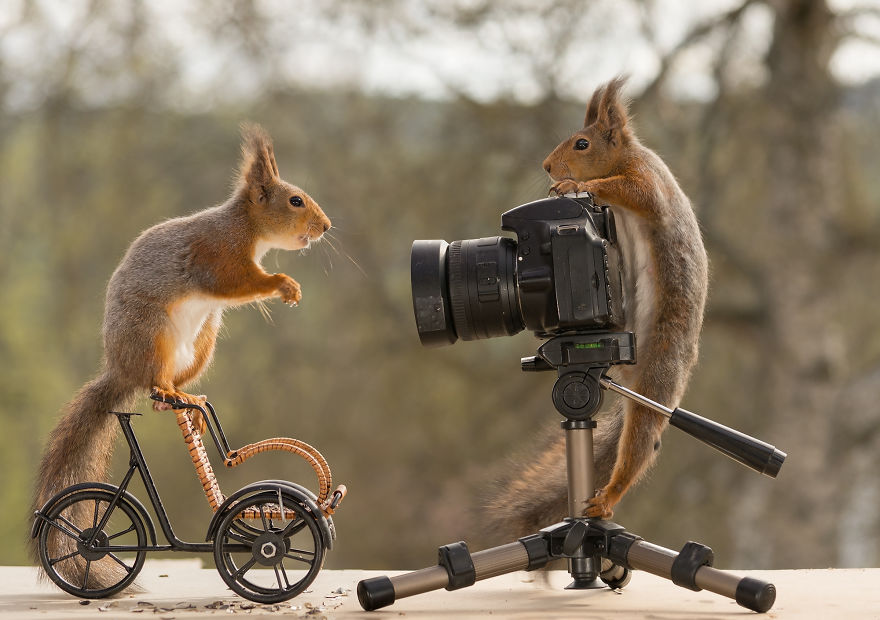 圖片來源：geert weggen
