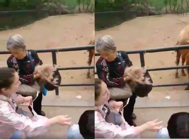 圖片來源：成都商報