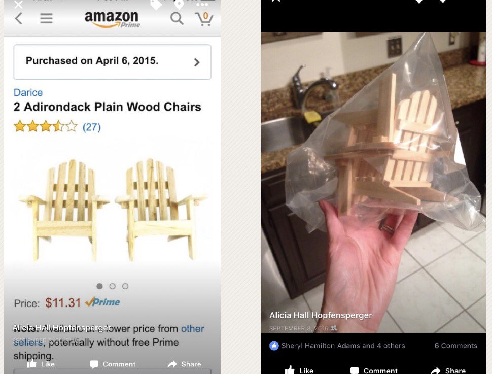 圖片來源：aliciahopfs／twitter