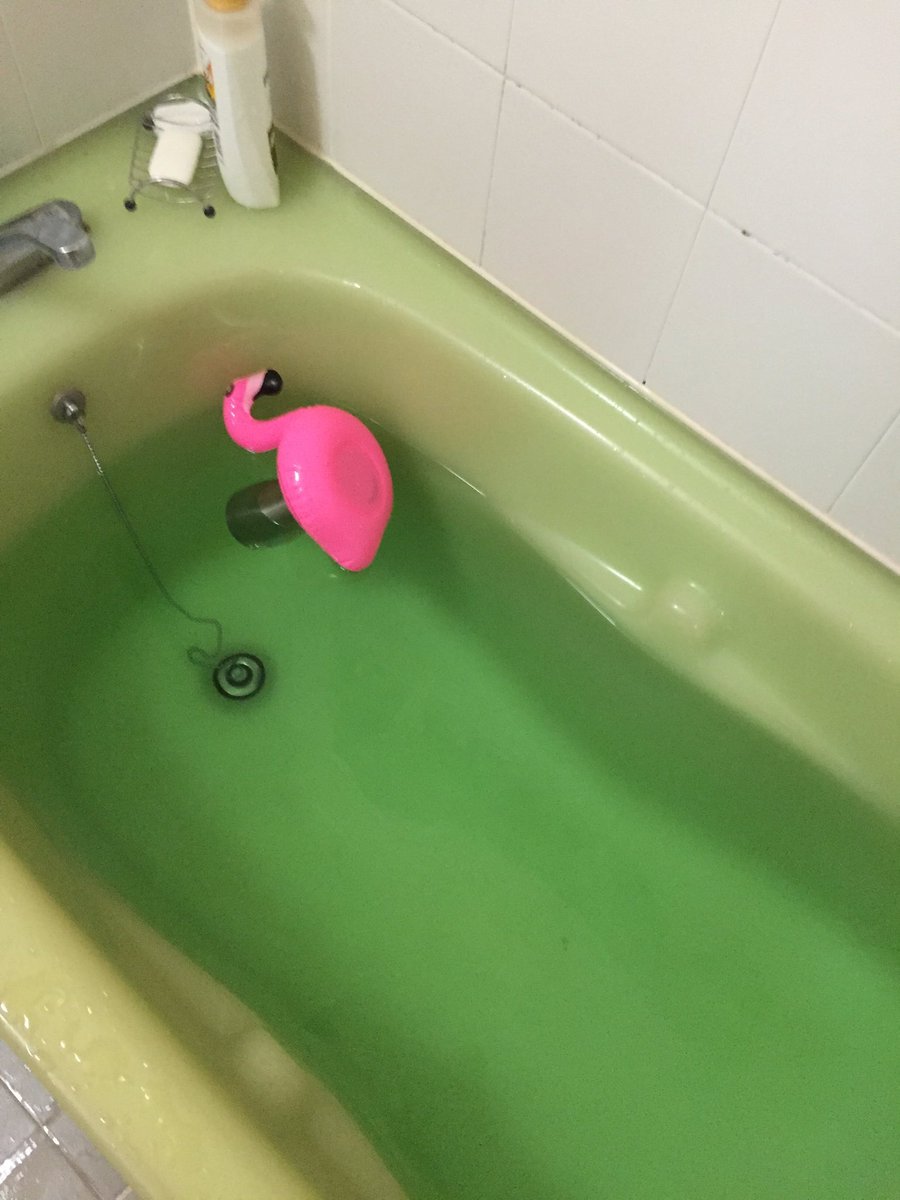 圖片來源：TNOK_GARDEN／twitter