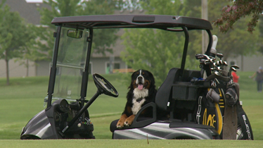 圖片來源：KARE11