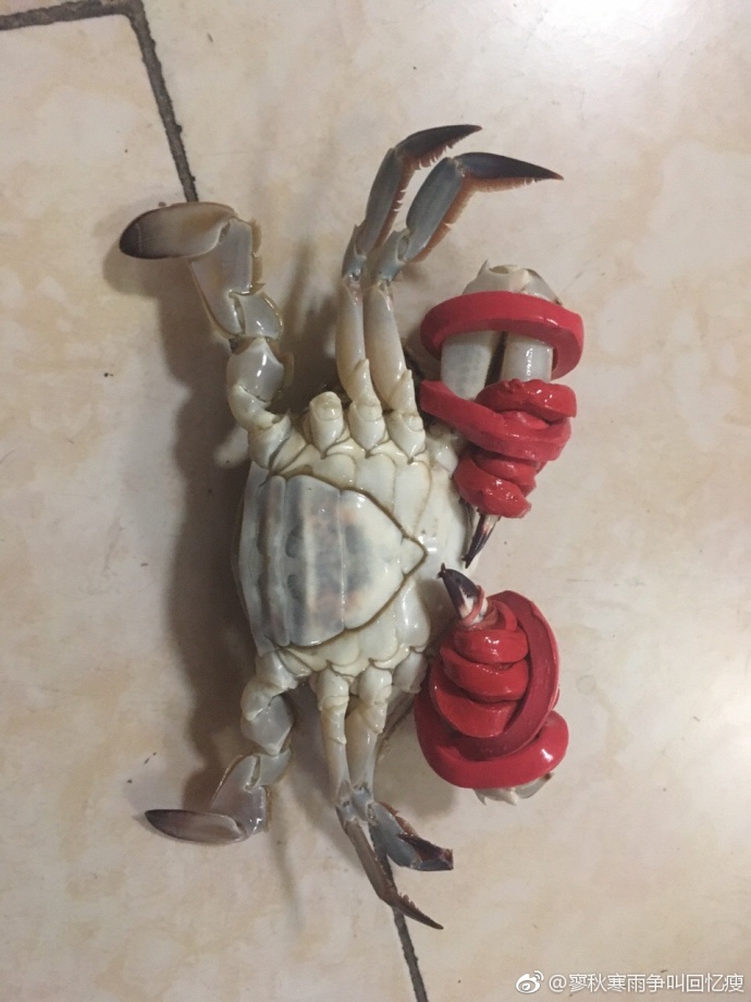 圖片來源：寥秋寒雨爭叫回憶瘦／微博