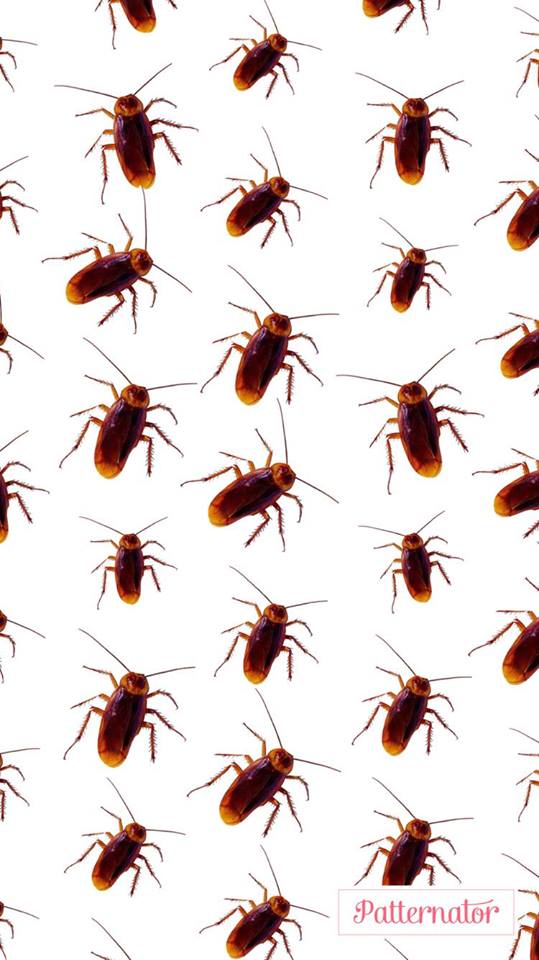 原圖來源:赣州邦仕環境科技有限公司