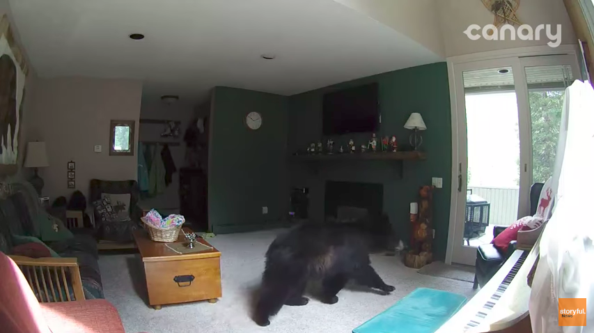 圖片來源：Storyful News／YouTube