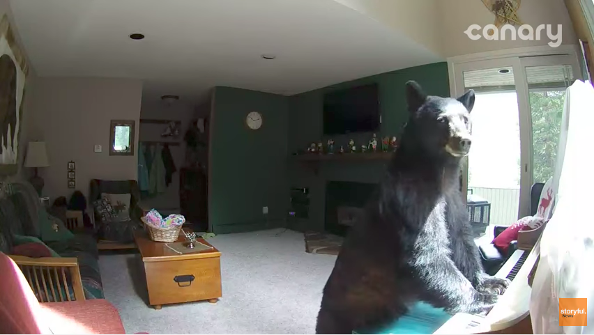 圖片來源：Storyful News／YouTube