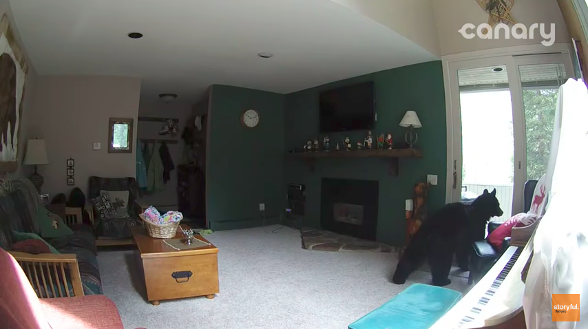 圖片來源：Storyful News／YouTube