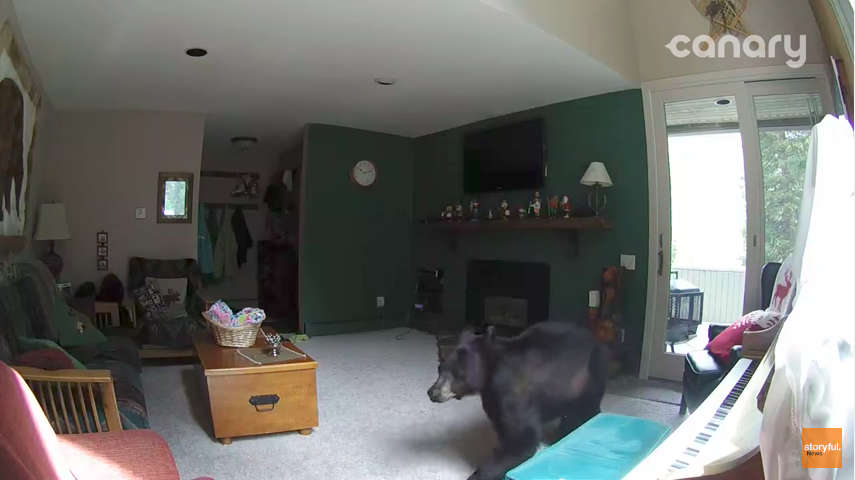 圖片來源：Storyful News／YouTube