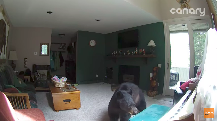 圖片來源：Storyful News／YouTube