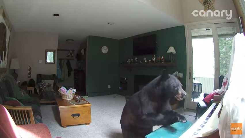 圖片來源：Storyful News／YouTube