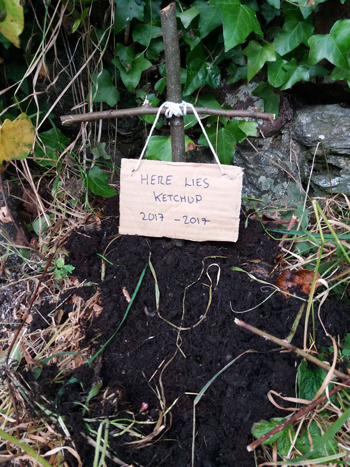 圖片來源：DaveyCCC／twitter