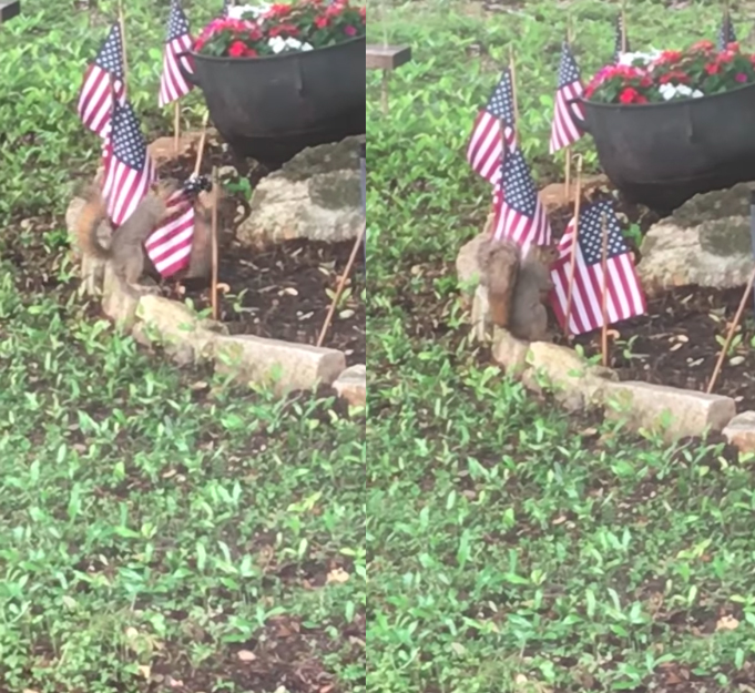 圖片來源：Devvinnn1460／YouTube