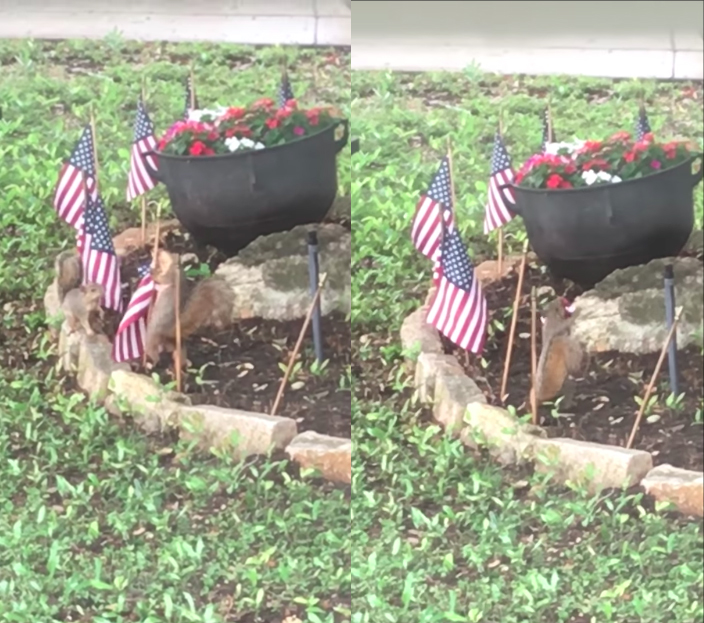 圖片來源：Devvinnn1460／YouTube