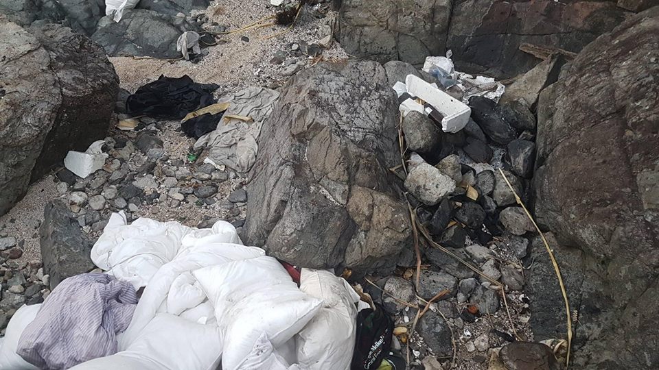 圖片來源：感謝網民輝輝同意轉載