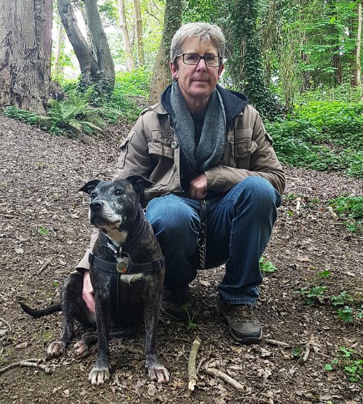 圖片來源：the Dodo