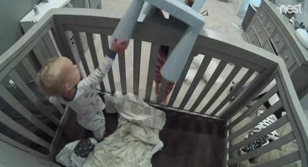 圖片來源:Mashable