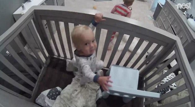 圖片來源:Mashable