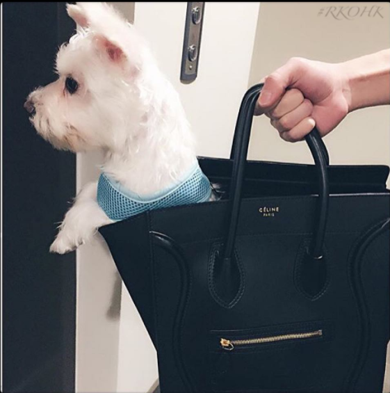 圖片來源：richkidsofhongkong／instagram