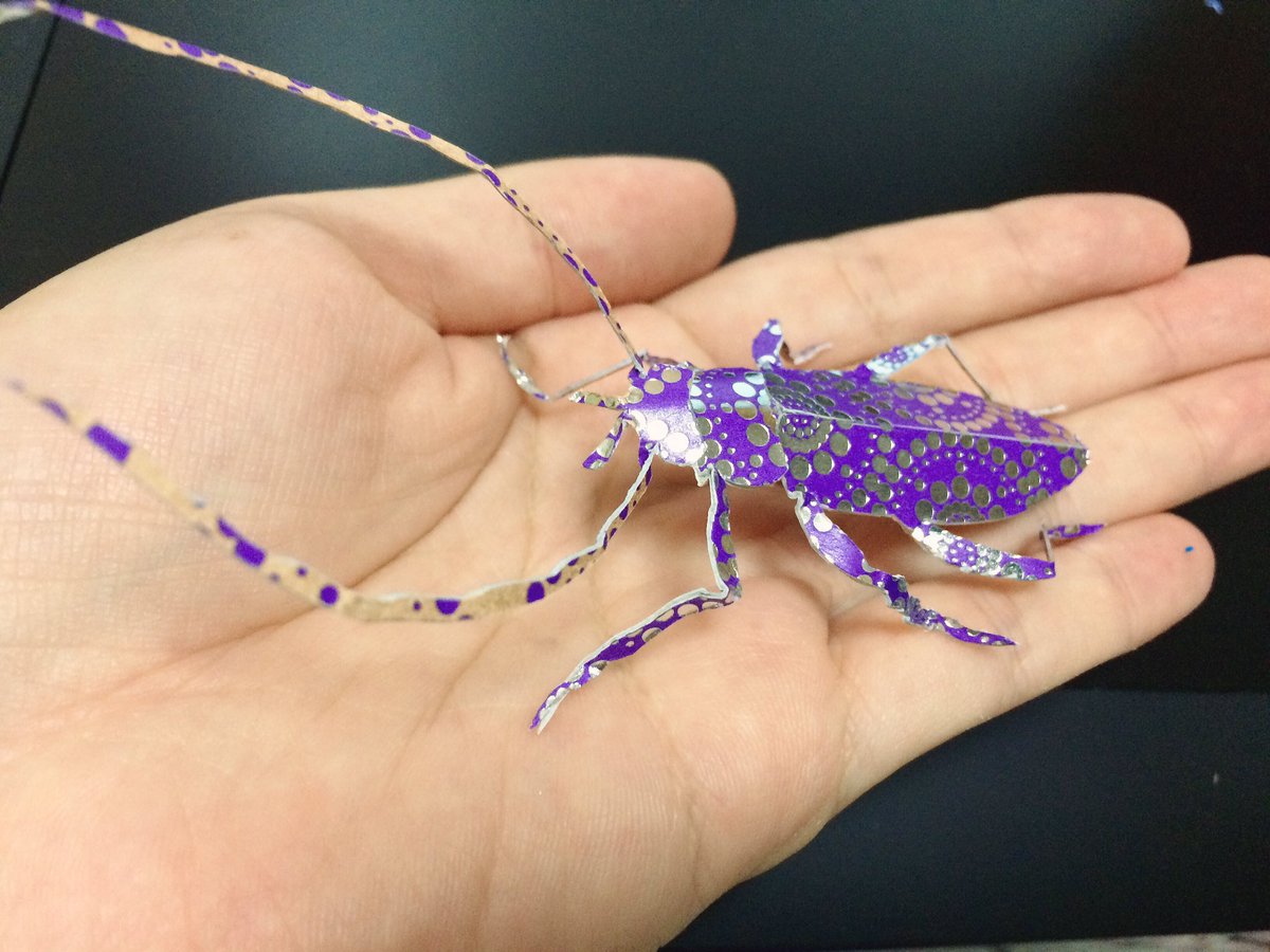 圖片來源：kani_haru／twitter