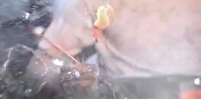 圖片來源:電影《表姐你好嘢》截圖