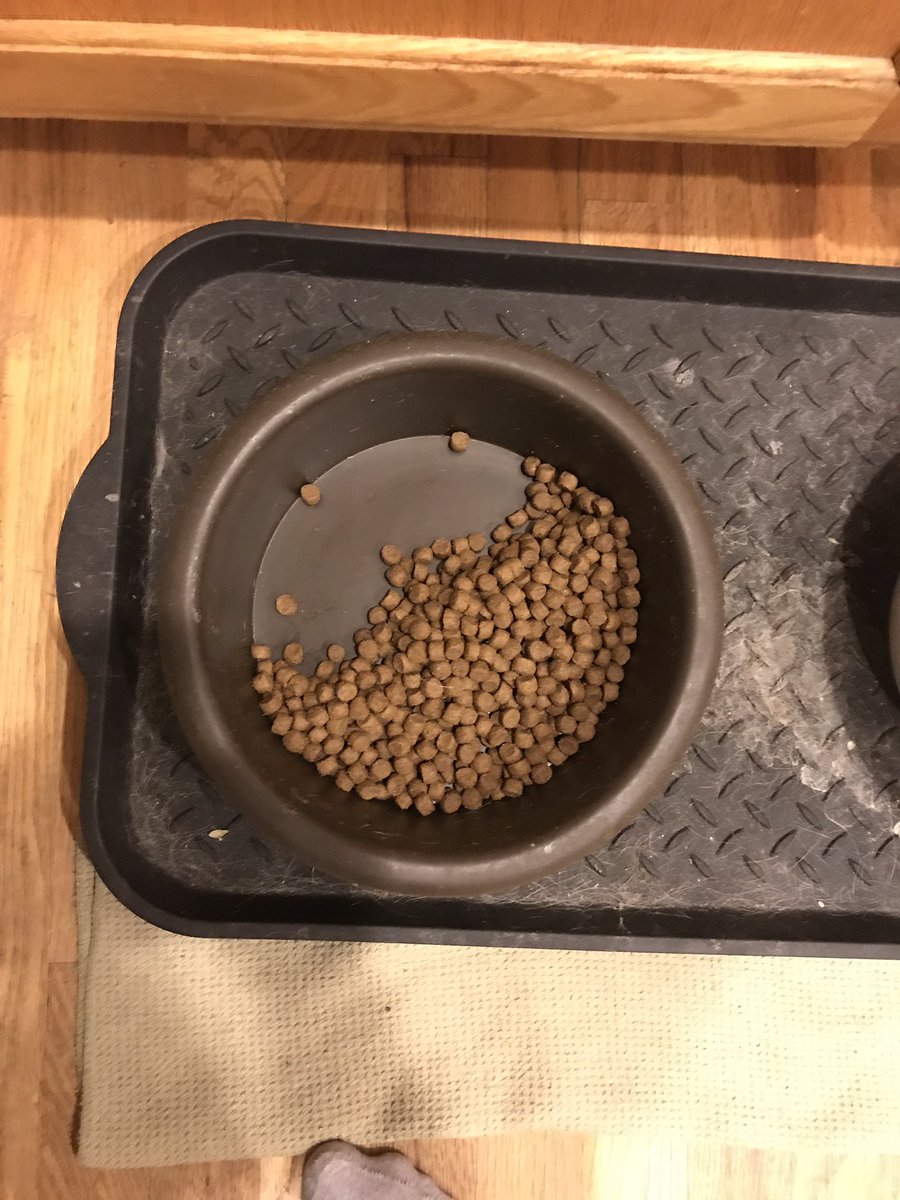 圖片來源:_EasyBreasy_/twitter