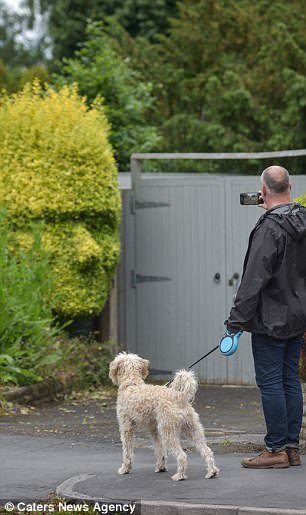 圖片來源:每日郵報