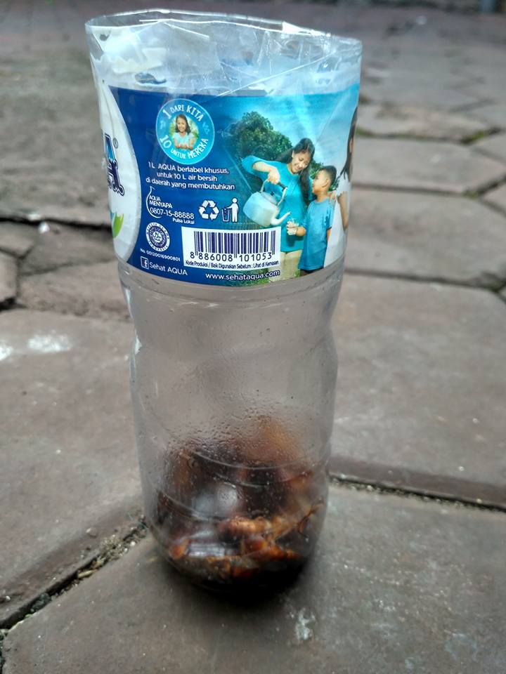 圖片來源:Raistamala Nediasani