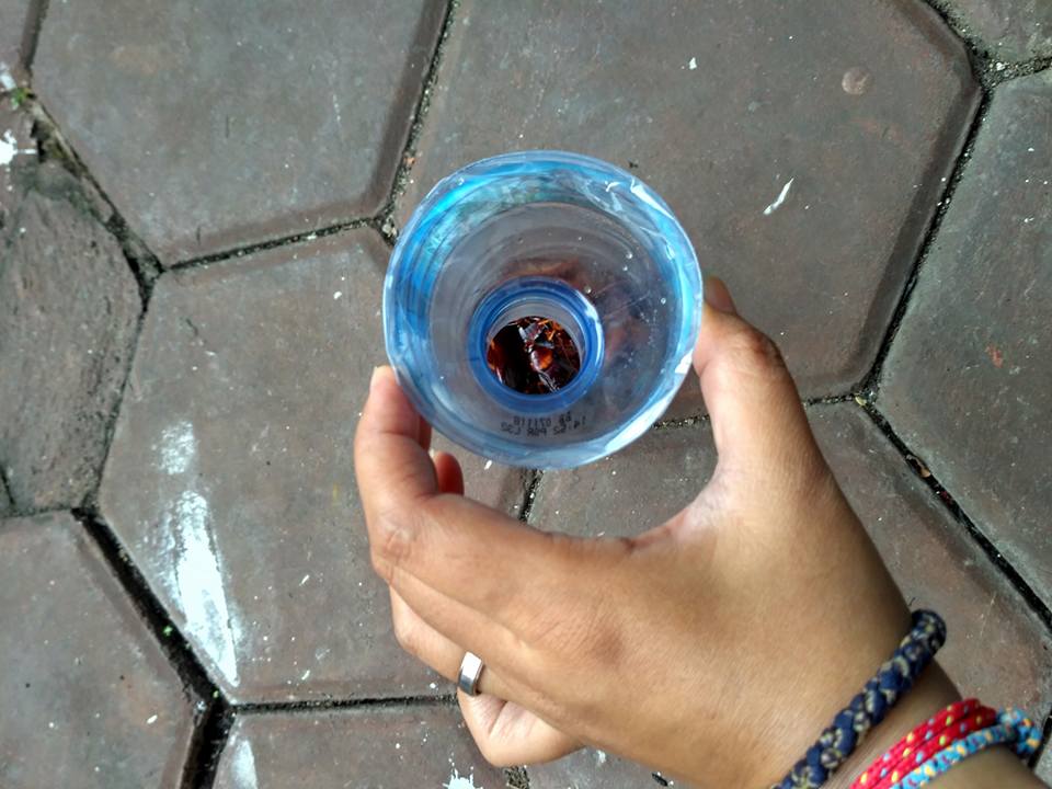 圖片來源:Raistamala Nediasani